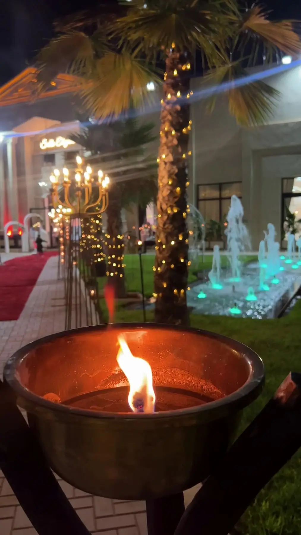 Vasque de feu sur la pelouse la nuit, palmier illuminé et fontaines